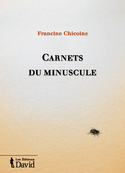 Carnets du minuscule